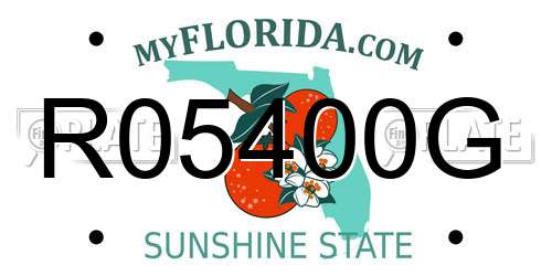 R05400G Florida License Plate