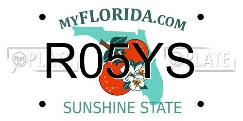 R05YS Florida License Plate