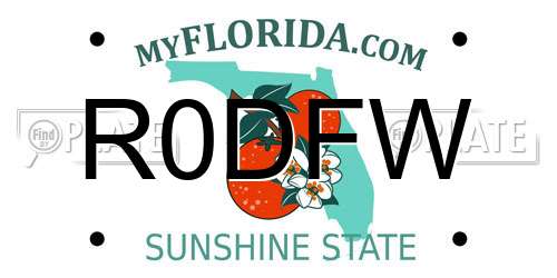 R0DFW Florida License Plate