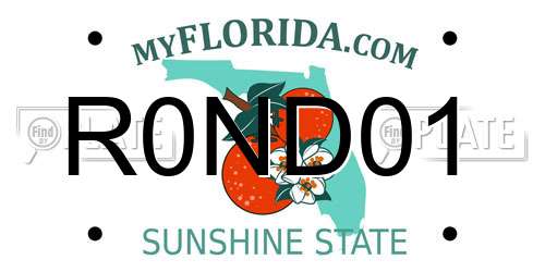 R0ND01 Florida License Plate