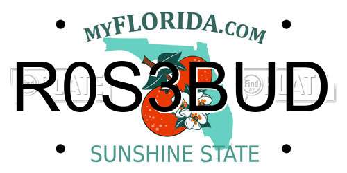 R0S3BUD Florida License Plate