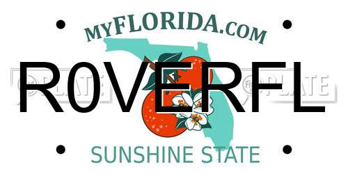 R0VERFL Florida License Plate