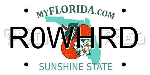 R0WHRD Florida License Plate