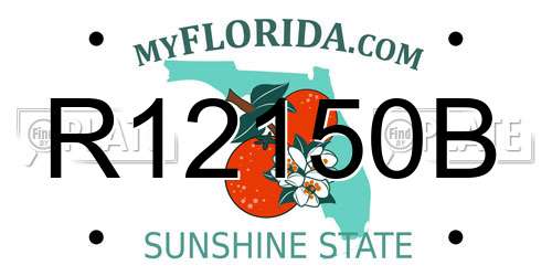 R12150B Florida License Plate