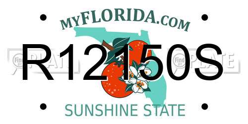 R12150S Florida License Plate