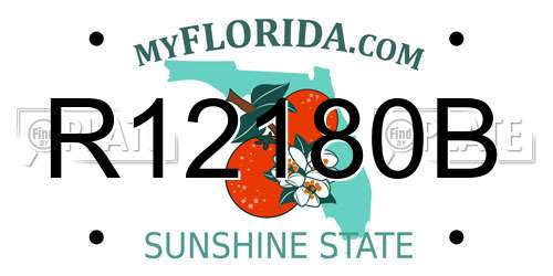 R12180B Florida License Plate