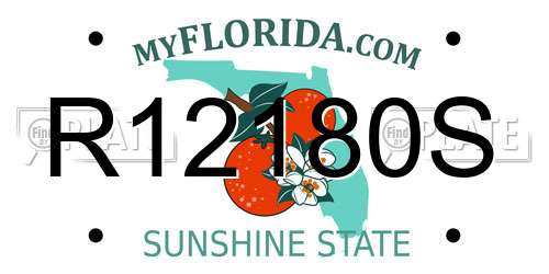 R12180S Florida License Plate