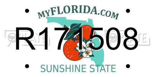 R171508 Florida License Plate