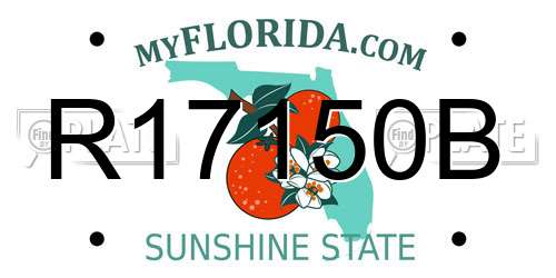 R17150B Florida License Plate