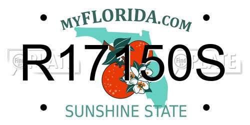 R17150S Florida License Plate
