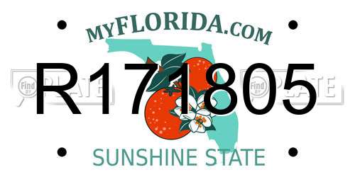 R171805 Florida License Plate