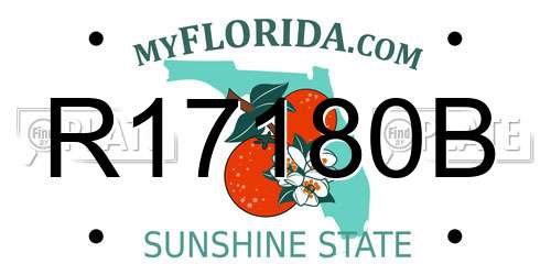 R17180B Florida License Plate
