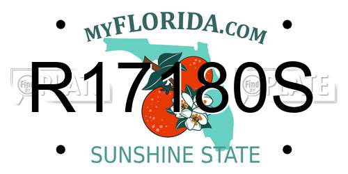 R17180S Florida License Plate