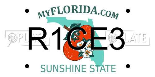 R1CE3 Florida License Plate