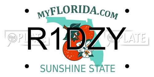 R1DZY Florida License Plate