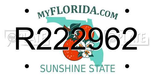 R222962 Florida License Plate