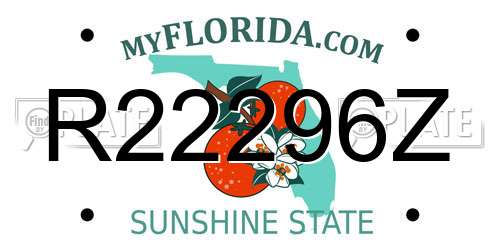 R22296Z Florida License Plate