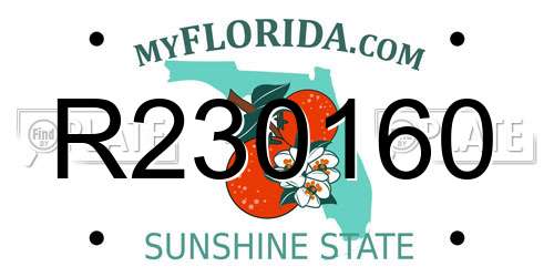 R230160 Florida License Plate