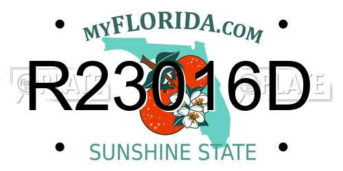 R23016D Florida License Plate