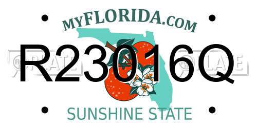 R23016Q Florida License Plate
