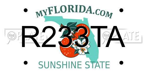 R233TA Florida License Plate