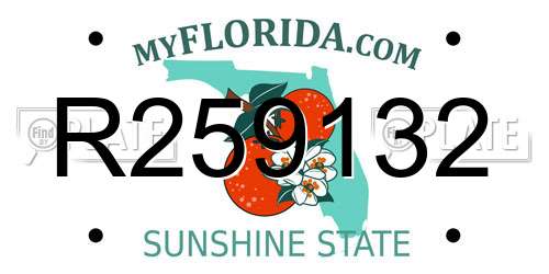 R259132 Florida License Plate