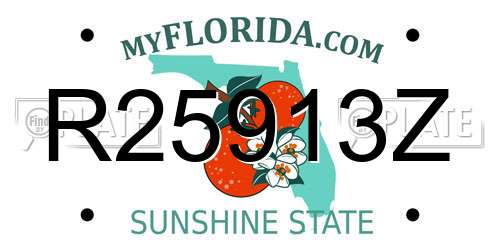 R25913Z Florida License Plate