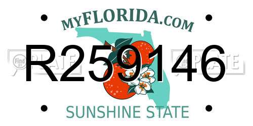 R259146 Florida License Plate