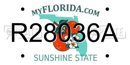R28036A Florida License Plate
