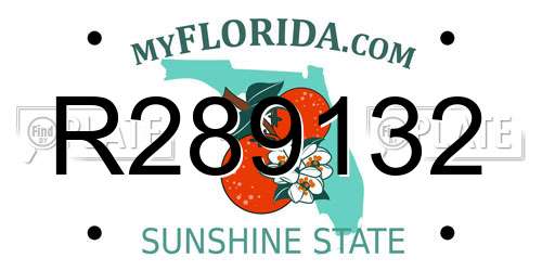 R289132 Florida License Plate