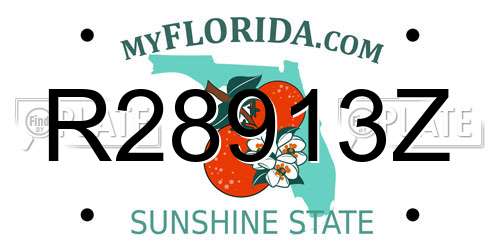 R28913Z Florida License Plate