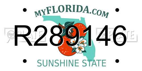 R289146 Florida License Plate