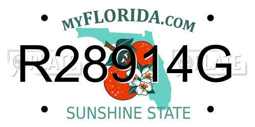 R28914G Florida License Plate