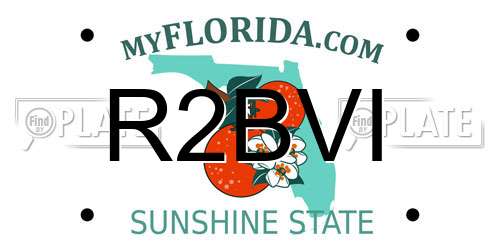R2BVI Florida License Plate