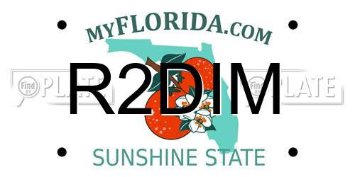 R2DIM Florida License Plate