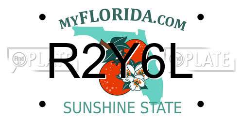 R2Y6L Florida License Plate