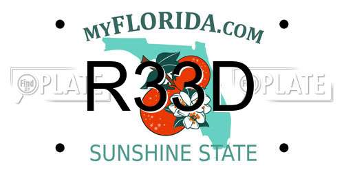 R33D Florida License Plate