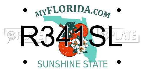 R341SL Florida License Plate