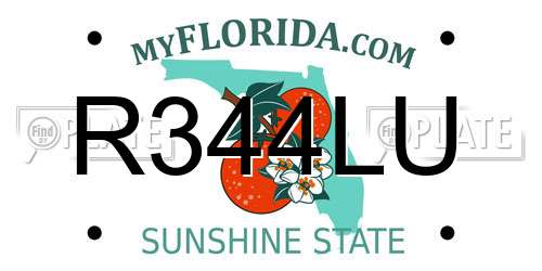 R344LU Florida License Plate