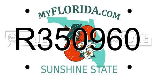 R350960 Florida License Plate