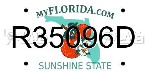 R35096D Florida License Plate