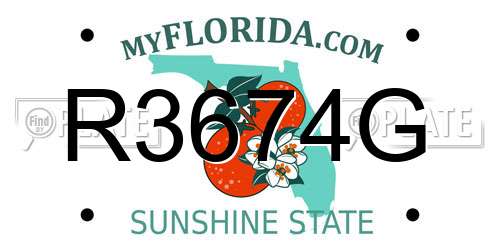 R3674G Florida License Plate