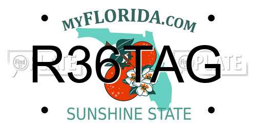 R36TAG Florida License Plate
