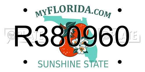 R380960 Florida License Plate