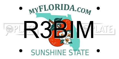 R3BIM Florida License Plate