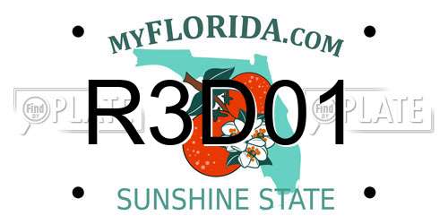 R3D01 Florida License Plate
