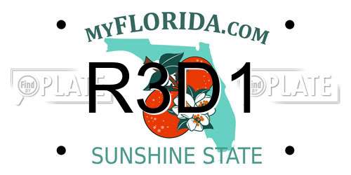 R3D1 Florida License Plate