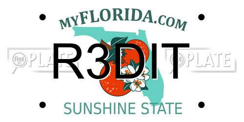 R3DIT Florida License Plate