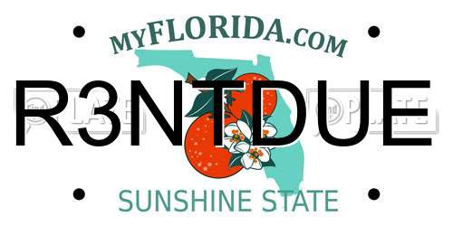 R3NTDUE Florida License Plate