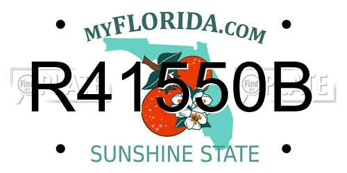 R41550B Florida License Plate